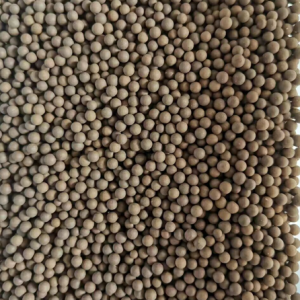 Slow release nano silicon fertilizer